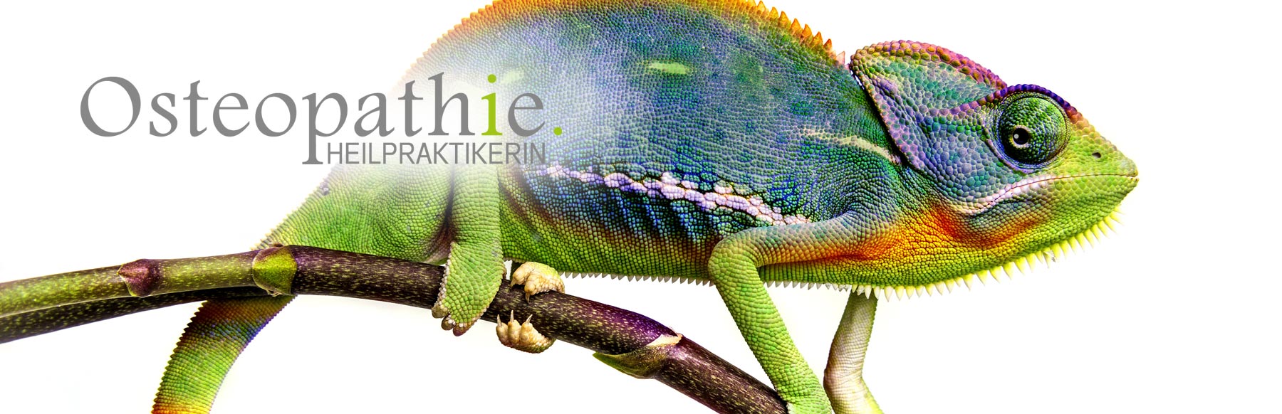 Praxisgemeinschaft Osteopathie . Heilpraktikerinnen, Leverkusen